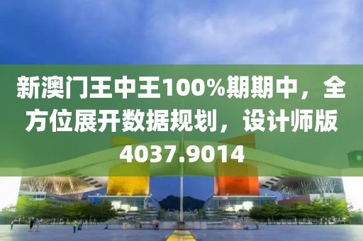 新澳門王中王100%期期中，全方位展開數據規劃，設計師版4037.9014