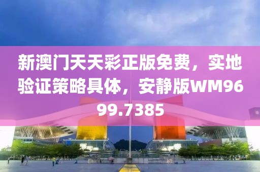 新澳門天天彩正版免費，實地驗證策略具體，安靜版WM9699.7385