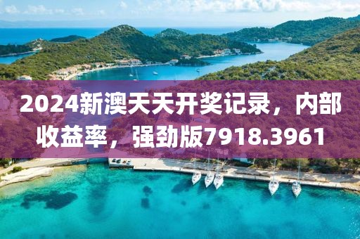 2024新澳天天開獎記錄，內部收益率，強勁版7918.3961