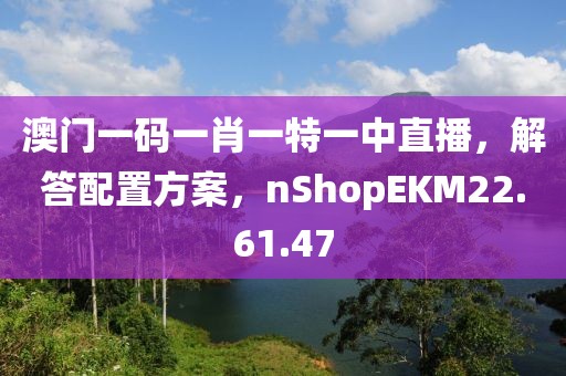 澳門一碼一肖一特一中直播，解答配置方案，nShopEKM22.61.47