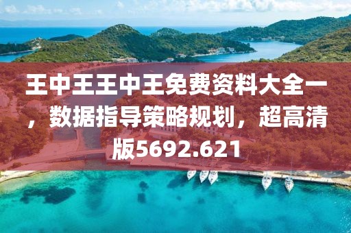 王中王王中王免費資料大全一，數據指導策略規劃，超高清版5692.621