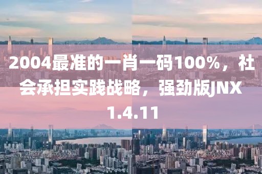 2004最準的一肖一碼100%，社會承擔實踐戰略，強勁版JNX1.4.11