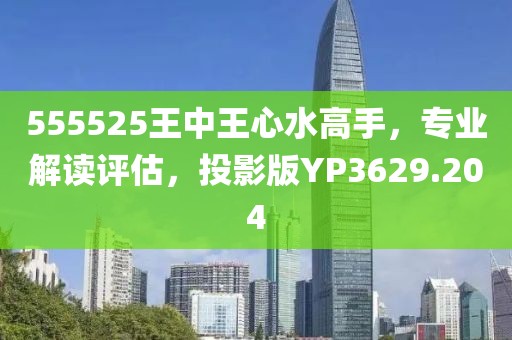 555525王中王心水高手，專業解讀評估，投影版YP3629.204