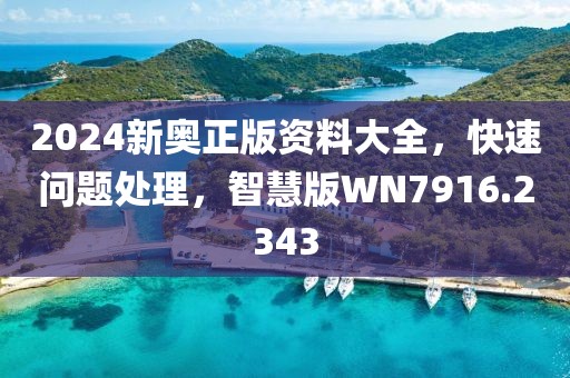 2024新奧正版資料大全，快速問題處理，智慧版WN7916.2343