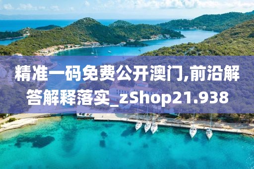 精準一碼免費公開澳門,前沿解答解釋落實_zShop21.938