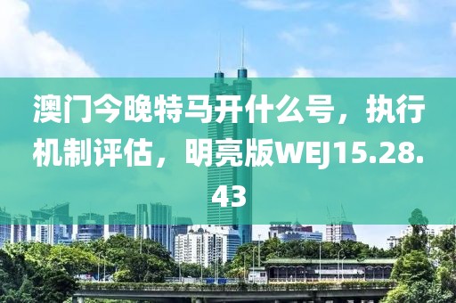 澳門今晚特馬開什么號，執行機制評估，明亮版WEJ15.28.43