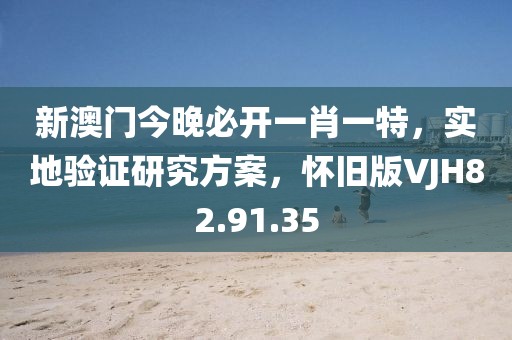 新澳門今晚必開一肖一特，實地驗證研究方案，懷舊版VJH82.91.35