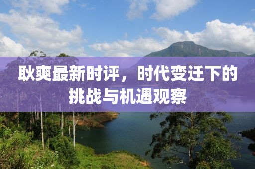 耿爽最新時評，時代變遷下的挑戰與機遇觀察