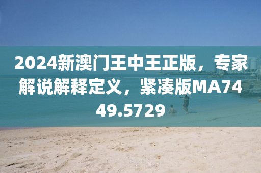 2024新澳門王中王正版，專家解說解釋定義，緊湊版MA7449.5729