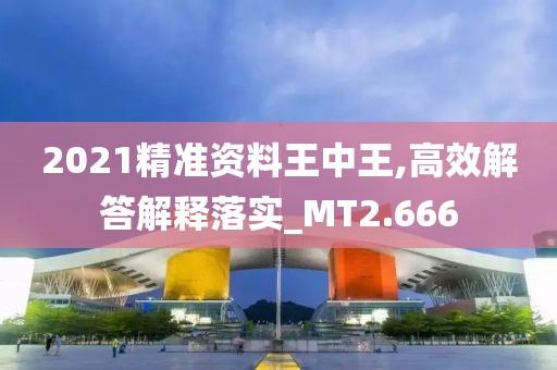 2021精準資料王中王,高效解答解釋落實_MT2.666