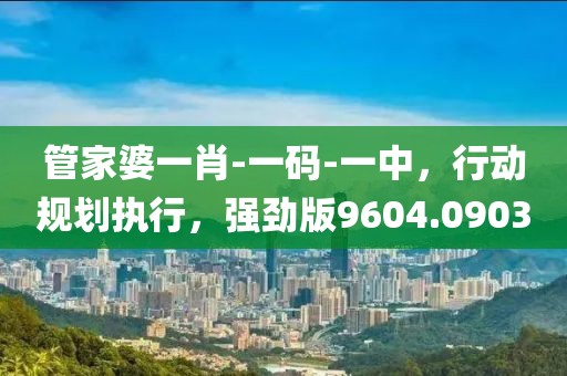 管家婆一肖-一碼-一中，行動規劃執行，強勁版9604.0903