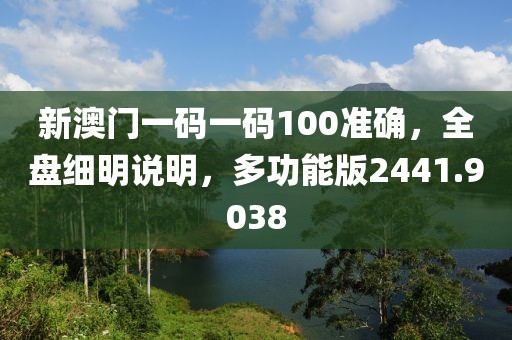 新澳門一碼一碼100準確，全盤細明說明，多功能版2441.9038