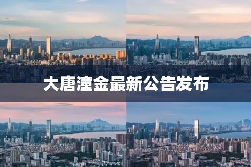 大唐潼金最新公告發布