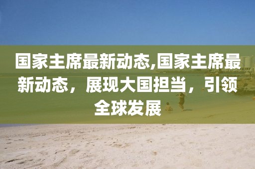 國家主席最新動態,國家主席最新動態，展現大國擔當，引領全球發展