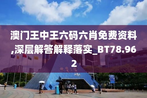 澳門王中王六碼六肖免費資料,深層解答解釋落實_BT78.962