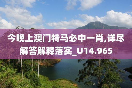 今晚上澳門特馬必中一肖,詳盡解答解釋落實_U14.965