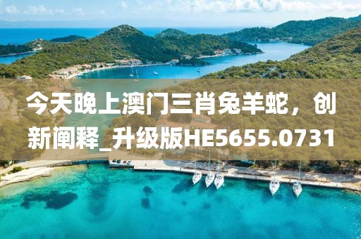 今天晚上澳門三肖兔羊蛇，創新闡釋_升級版HE5655.0731