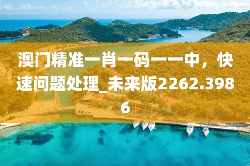 澳門精準一肖一碼一一中，快速問題處理_未來版2262.3986
