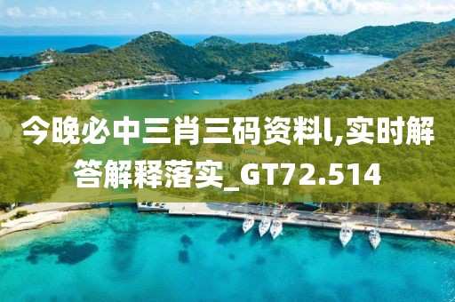 今晚必中三肖三碼資料l,實時解答解釋落實_GT72.514