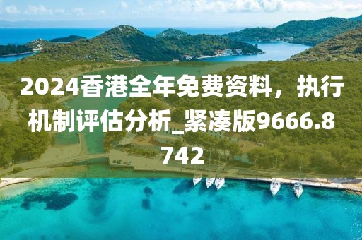 2024香港全年免費資料，執行機制評估分析_緊湊版9666.8742