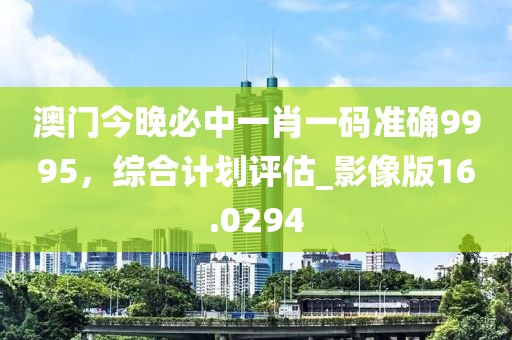 澳門今晚必中一肖一碼準確9995，綜合計劃評估_影像版16.0294