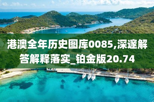 港澳全年歷史圖庫0085,深邃解答解釋落實_鉑金版20.74