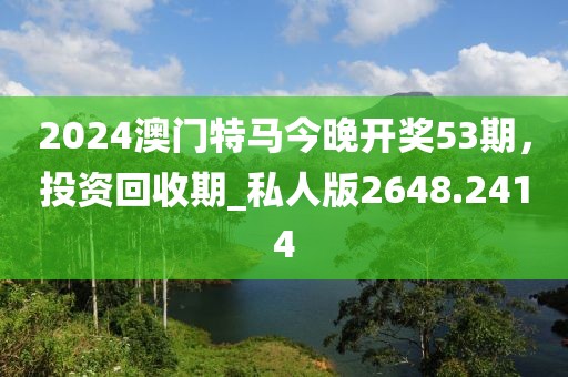 2024澳門特馬今晚開獎53期，投資回收期_私人版2648.2414