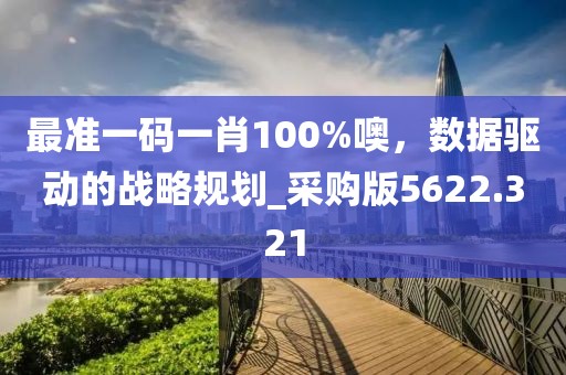 最準一碼一肖100%噢，數據驅動的戰略規劃_采購版5622.321