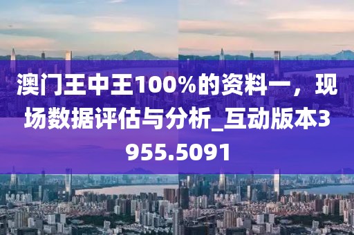 澳門王中王100%的資料一，現場數據評估與分析_互動版本3955.5091