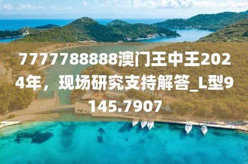 7777788888澳門王中王2024年，現場研究支持解答_L型9145.7907