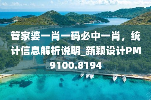 管家婆一肖一碼必中一肖，統計信息解析說明_新穎設計PM9100.8194