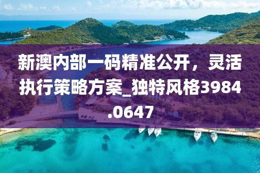 新澳內部一碼精準公開，靈活執行策略方案_獨特風格3984.0647
