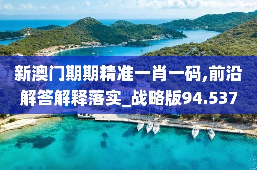 新澳門期期精準一肖一碼,前沿解答解釋落實_戰略版94.537