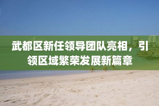 武都區新任領導團隊亮相，引領區域繁榮發展新篇章