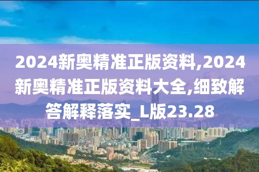 2024新奧精準正版資料,2024新奧精準正版資料大全,細致解答解釋落實_L版23.28