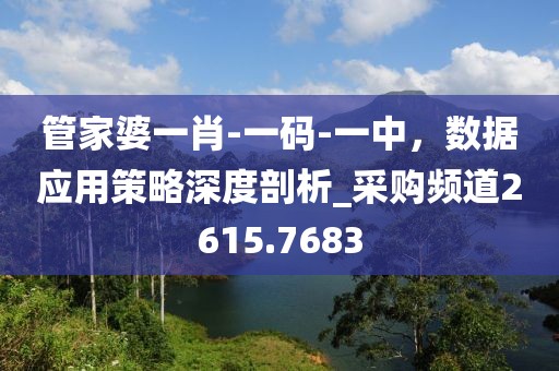管家婆一肖-一碼-一中，數據應用策略深度剖析_采購頻道2615.7683