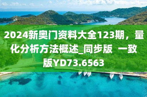 2024新奧門資料大全123期，量化分析方法概述_同步版  一致版YD73.6563
