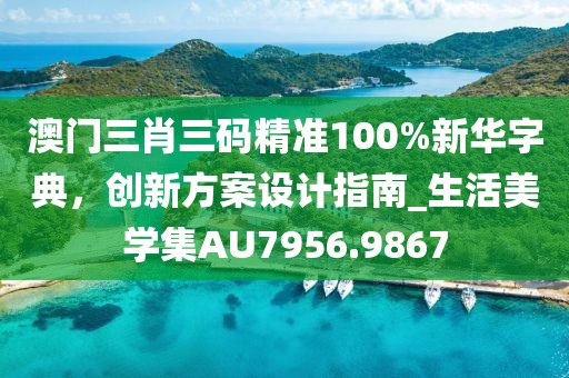 澳門三肖三碼精準100%新華字典，創新方案設計指南_生活美學集AU7956.9867