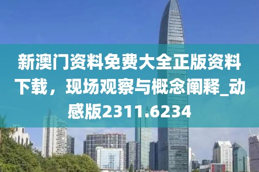 新澳門資料免費大全正版資料下載，現場觀察與概念闡釋_動感版2311.6234