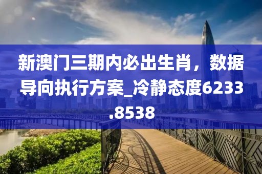 新澳門三期內必出生肖，數據導向執行方案_冷靜態度6233.8538