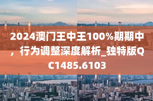 2024澳門王中王100%期期中，行為調整深度解析_獨特版QC1485.6103