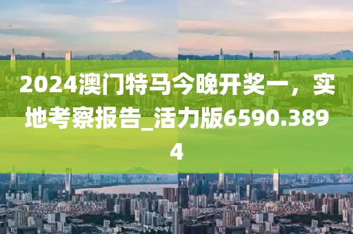 2024澳門特馬今晚開獎一，實地考察報告_活力版6590.3894