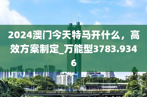 2024澳門今天特馬開什么，高效方案制定_萬能型3783.9346