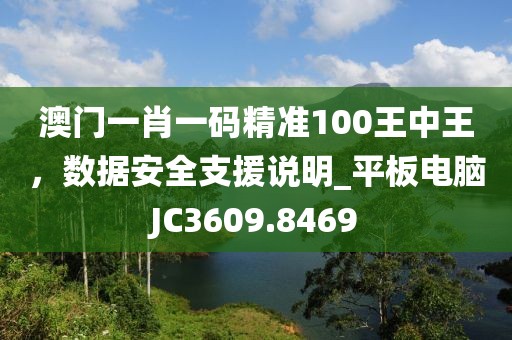 澳門一肖一碼精準100王中王，數據安全支援說明_平板電腦JC3609.8469