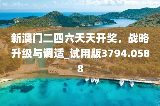 新澳門二四六天天開獎，戰略升級與調適_試用版3794.0588