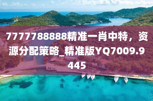 7777788888精準一肖中特，資源分配策略_精準版YQ7009.9445