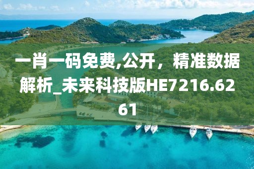 一肖一碼免費,公開，精準數據解析_未來科技版HE7216.6261
