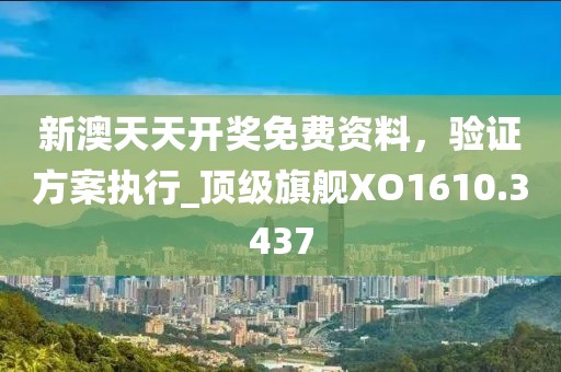 新澳天天開獎免費資料，驗證方案執行_頂級旗艦XO1610.3437
