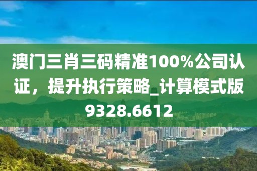 澳門三肖三碼精準100%公司認證，提升執行策略_計算模式版9328.6612