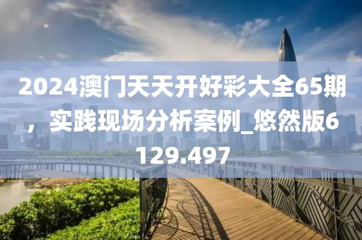 2024澳門天天開好彩大全65期，實踐現場分析案例_悠然版6129.497